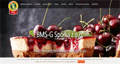 Desktop Screenshot of bmsg.pl